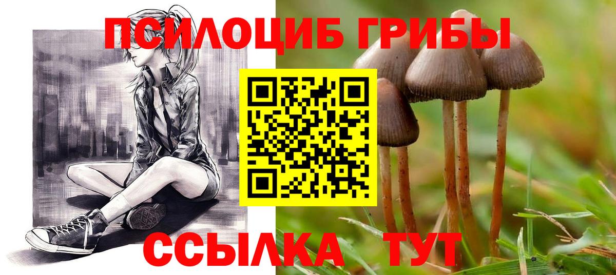 Псилоцибиновые грибы Magic Shrooms Отрадный