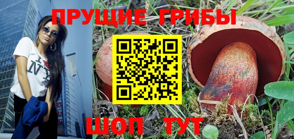 закладка  Вход с VPN  Отрадный  Галлюциногенные грибы мухоморы 